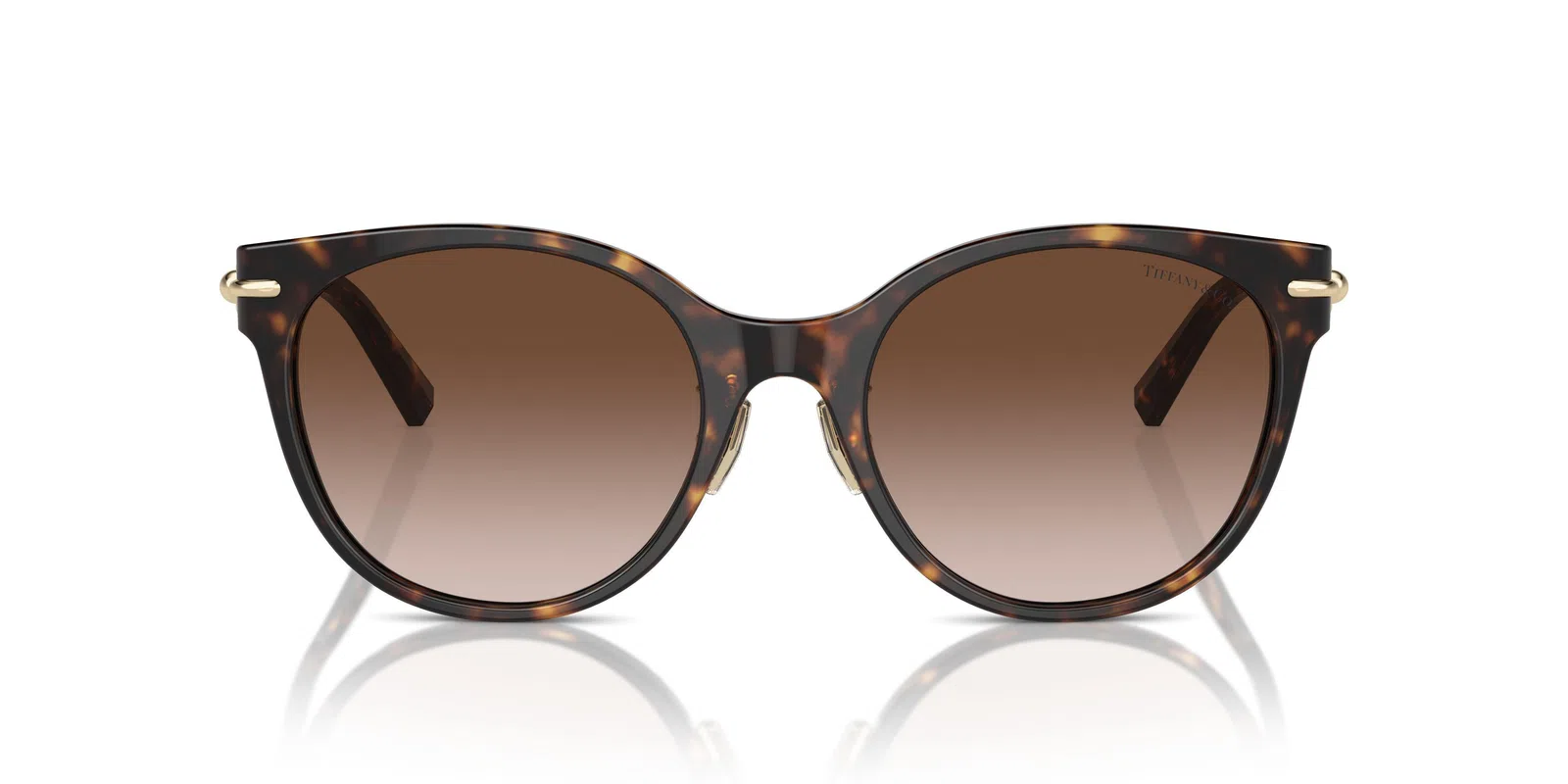 Tiffany 4223D Sunglasses - view 13